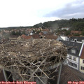 17_55-nest.jpg
