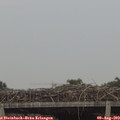 18_05-mast.jpg