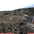 18_05-nest.jpg