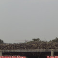 18_10-mast.jpg