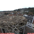 18_10-nest.jpg