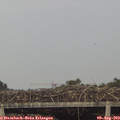 18_15-mast.jpg