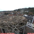 18_15-nest.jpg