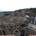 18_20-nest.jpg