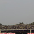18_25-mast.jpg