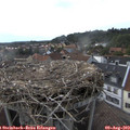 18_25-nest.jpg