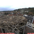 18_35-nest.jpg