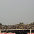 18_40-mast.jpg