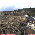 18_40-nest.jpg