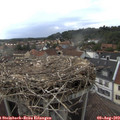 18_45-nest.jpg