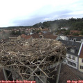18_50-nest.jpg