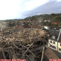 18_55-nest.jpg