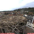 19_00-nest.jpg
