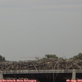 19_05-mast.jpg