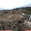 19_05-nest.jpg