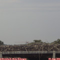 19_10-mast.jpg