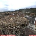 19_10-nest.jpg