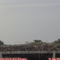19_15-mast.jpg