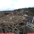 19_15-nest.jpg