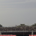 19_20-mast.jpg