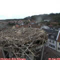 19_20-nest.jpg