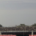 19_25-mast.jpg