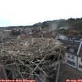 19_25-nest.jpg
