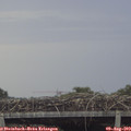 19_35-mast.jpg