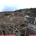 19_40-nest.jpg