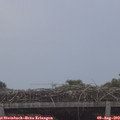 19_45-mast.jpg
