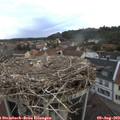 19_45-nest.jpg