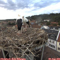 20_35-nest.jpg