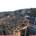 06_20-nest.jpg