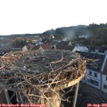 06_25-nest.jpg
