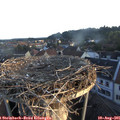 06_30-nest.jpg