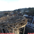 06_35-nest.jpg