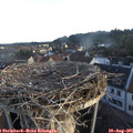 06_40-nest.jpg