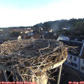06_45-nest.jpg
