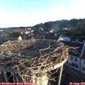 06_50-nest.jpg