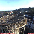 06_55-nest.jpg
