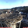 07_05-nest.jpg