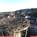 07_10-nest.jpg