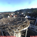 07_15-nest.jpg