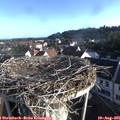 07_30-nest.jpg