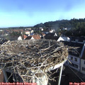 07_45-nest.jpg
