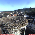 07_50-nest.jpg