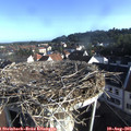 07_55-nest.jpg
