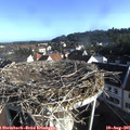 08_00-nest.jpg