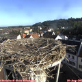 08_05-nest.jpg