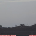08_10-mast.jpg